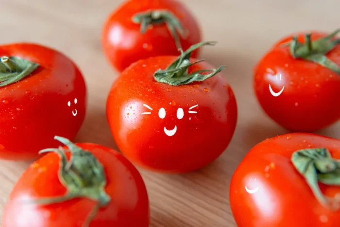 토마토의 리코펜 성분과 효능